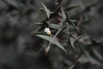 Go to image 4.