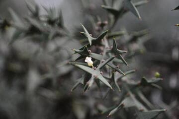 Go to image 6.