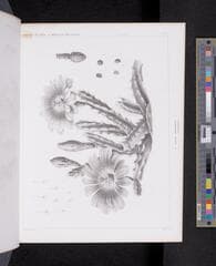 Go to image 614.