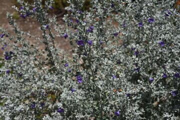 Go to image 9.