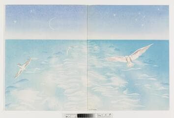 Go to image 28.