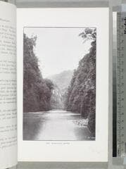 Go to image 39.