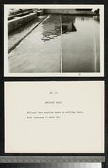 Go to image 13.
