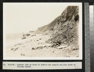 Go to image 51.