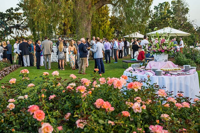 Evening among the roses