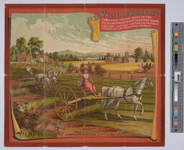 Walter A. Wood rake