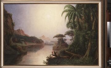 Tropical Landscape
